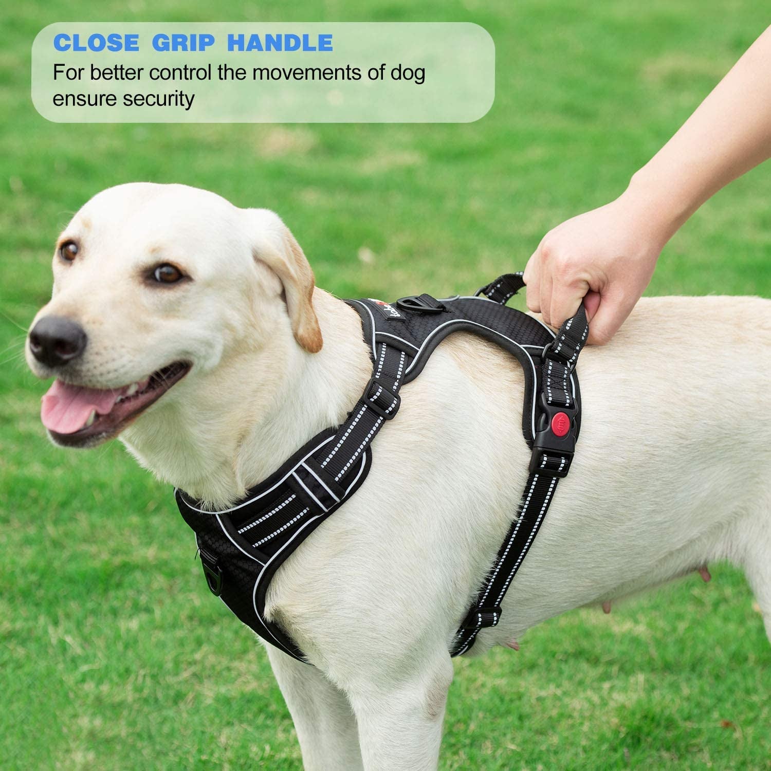 No Pull Dog Harness Adjustable Reflective Oxford Easy Control Medium Large Dog Harness with a Free Heavy Duty 5Ft Dog Leash, Blue, L