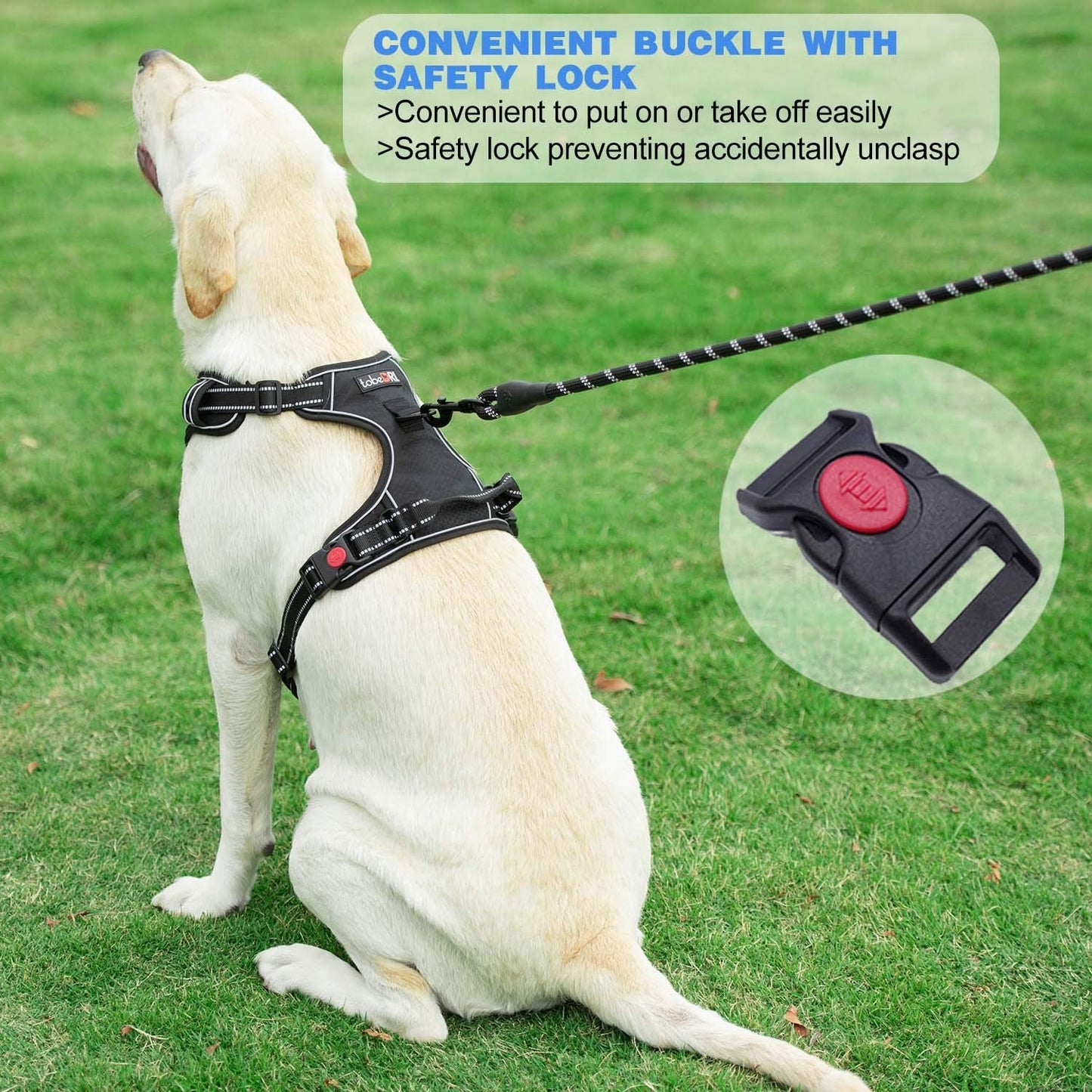 No Pull Dog Harness Adjustable Reflective Oxford Easy Control Medium Large Dog Harness with a Free Heavy Duty 5Ft Dog Leash, Blue, L